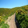 Plants: image 27 Of 208 Thumb